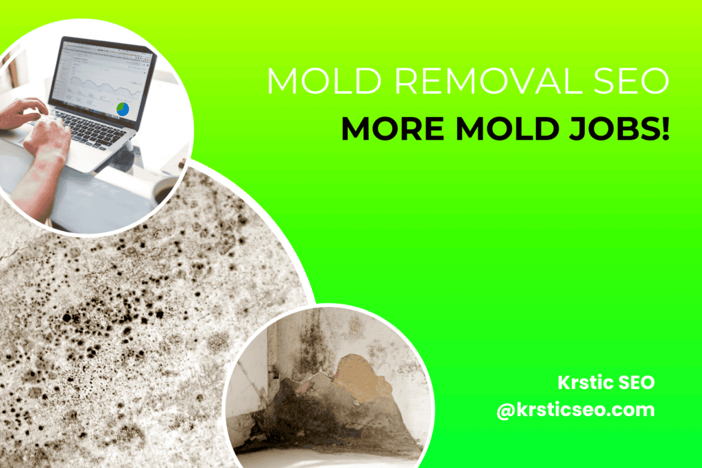 mold removal seo